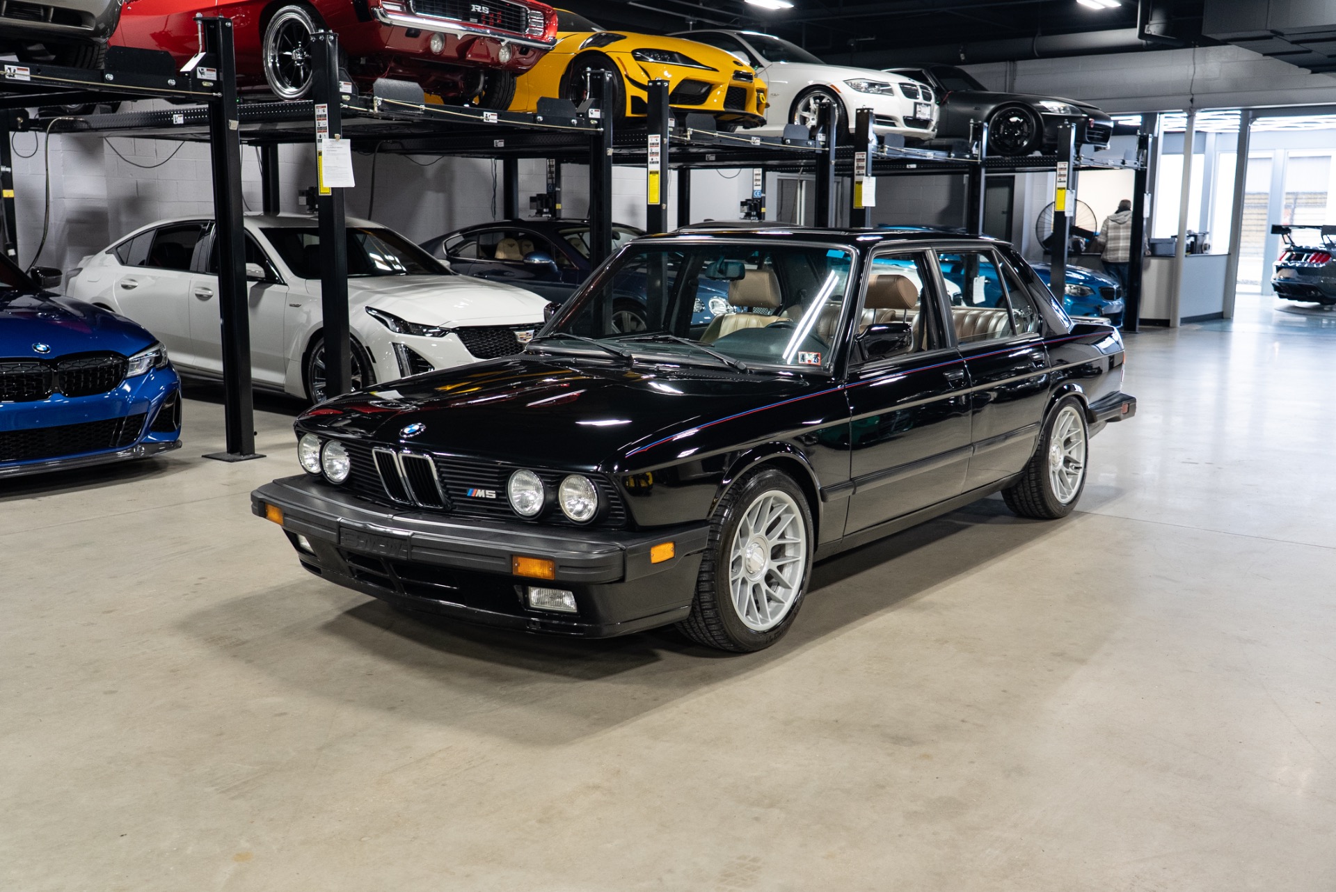 1988 BMW M5's photo