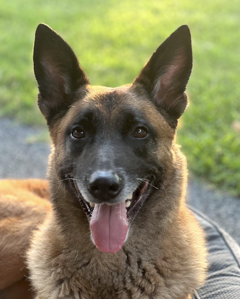 STRYDER